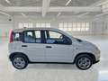 Fiat Panda 1.0 HYBRID MY24 - thumbnail 3