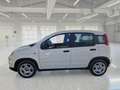 Fiat Panda 1.0 HYBRID MY24 - thumbnail 5