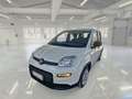Fiat Panda 1.0 HYBRID MY24 - thumbnail 1