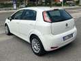 Fiat Punto Punto III 2012 5p 1.3 mjt 16v Street (easy) 75cv Bianco - thumbnail 4