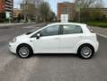 Fiat Punto Punto III 2012 5p 1.3 mjt 16v Street (easy) 75cv Bianco - thumbnail 2