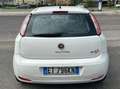 Fiat Punto Punto III 2012 5p 1.3 mjt 16v Street (easy) 75cv Bianco - thumbnail 3