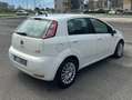 Fiat Punto Punto III 2012 5p 1.3 mjt 16v Street (easy) 75cv Bianco - thumbnail 5