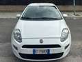 Fiat Punto Punto III 2012 5p 1.3 mjt 16v Street (easy) 75cv Bianco - thumbnail 1