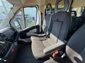 Citroen Jumper 33 L2H2 Live Blue-HDi 130, 9 Sitzer Weiß - thumbnail 9