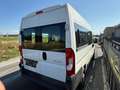 Citroen Jumper 33 L2H2 Live Blue-HDi 130, 9 Sitzer Weiß - thumbnail 7