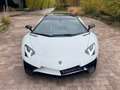 Lamborghini Aventador 6.5 V12 LP 7504 Superveloce Blanco - thumbnail 6