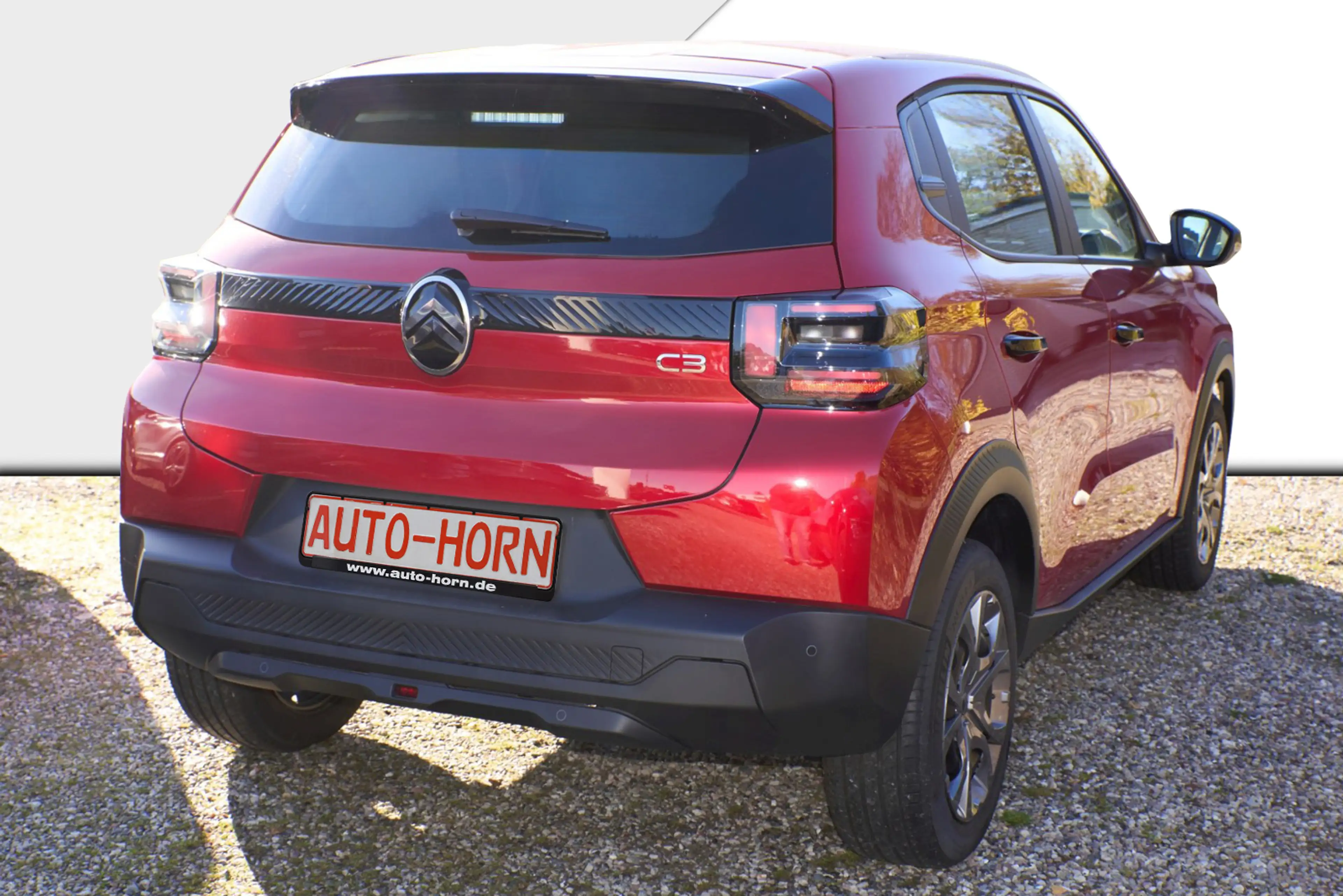 Citroen C3 PureTech 100 YOU — photo 3