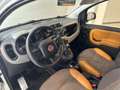 Fiat Panda Panda III 2014 4x4 1.3 mjt 16v 4x4 Blanc - thumbnail 3