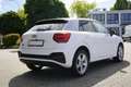 Audi Q2 35 TFSI s-tronic S-Line LED ACC Navi Kamera Weiß - thumbnail 5