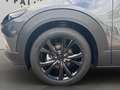 Mazda CX-30 e-Skyactive G140 Makoto Aut. Grau - thumbnail 6