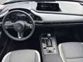 Mazda CX-30 e-Skyactive G140 Makoto Aut. Grau - thumbnail 8