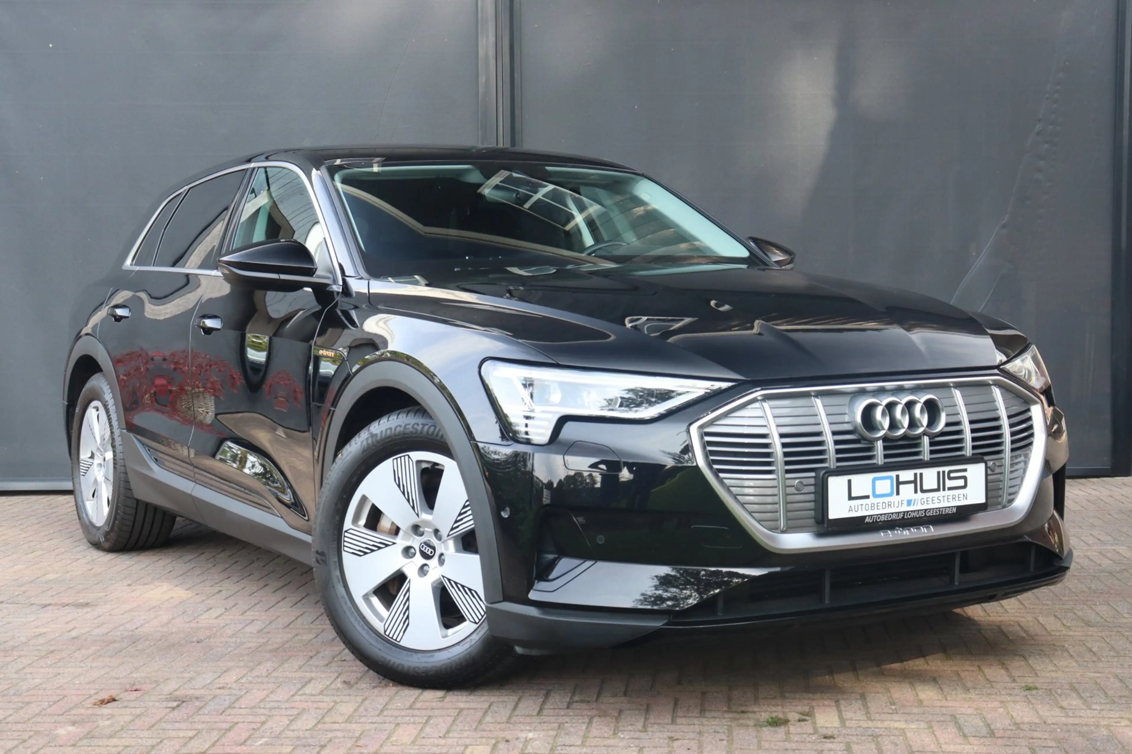 Audi e-tron 50 quattro edition 71 kWh 313PK | TREKHAAK | VIRTU — photo 2