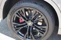 BMW X6 xDrive40d*M-Sportpaket*Kamera*Softclose* Gris - thumbnail 19