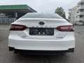 Toyota Camry 2,5 Hybrid Lounge Aut. Weiß - thumbnail 14