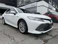 Toyota Camry 2,5 Hybrid Lounge Aut. Weiß - thumbnail 2