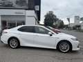 Toyota Camry 2,5 Hybrid Lounge Aut. Weiß - thumbnail 1