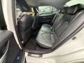 Toyota Camry 2,5 Hybrid Lounge Aut. Weiß - thumbnail 10