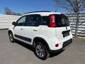 Fiat Panda TwinAir Turbo 85 4x4 Wild Weiß - thumbnail 6