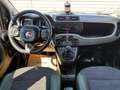 Fiat Panda TwinAir Turbo 85 4x4 Wild Weiß - thumbnail 9