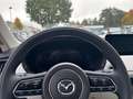 Mazda CX-60 Takumi Plus 2.5 e-SKYACTIV PHEV 327 PS AWD  Platin Beige - thumbnail 12