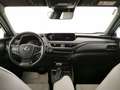 Lexus UX 250h 2.0 Luxury 2wd cvt my20 Bianco - thumbnail 10