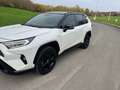 Toyota RAV 4 RAV4 Hybrid HEV 2.5i i-AWD Style Plus (Li-ion) Blanc - thumbnail 5