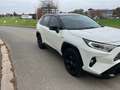 Toyota RAV 4 RAV4 Hybrid HEV 2.5i i-AWD Style Plus (Li-ion) Blanc - thumbnail 2