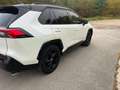 Toyota RAV 4 RAV4 Hybrid HEV 2.5i i-AWD Style Plus (Li-ion) Blanc - thumbnail 3