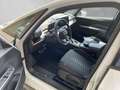 CUPRA Born Basis 150kW *digitales Cockpit *LED *Mehrzonenklim Bianco - thumbnail 11