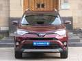 Toyota RAV 4 RAV4 Edition-S*1HD*ALLRAD*AHK*KAM*8 FACH* - thumbnail 2