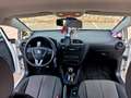 SEAT Leon León 1.6TDI CR Reference 90 Reference Blanco - thumbnail 12