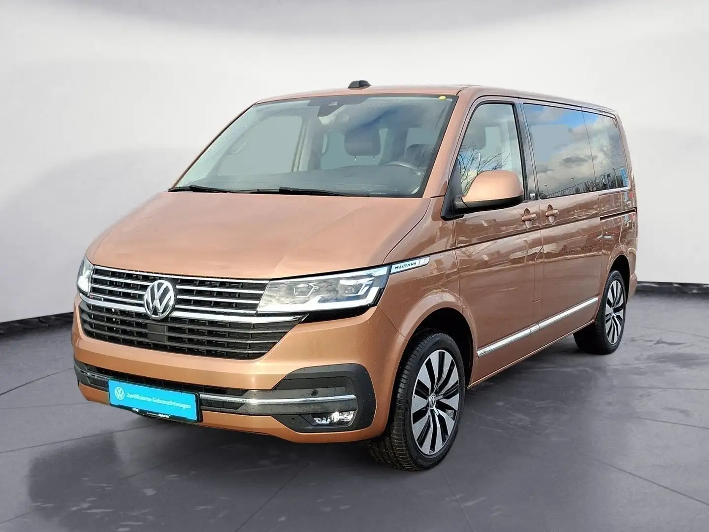 Volkswagen T6 Multivan T6.1 2.0 TDI DSG 4Motion AHK Navi AC Braun - 2