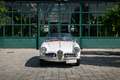 Alfa Romeo Giulietta Spider Blanc - thumbnail 8
