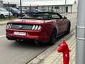 Ford Mustang 2.3 EcoBoost Cabrio - Facelif - Aut -Cockpit  TVAC Rood - thumbnail 29
