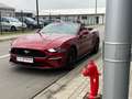 Ford Mustang 2.3 EcoBoost Cabrio - Facelif - Aut -Cockpit  TVAC Rouge - thumbnail 28