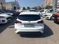 Ford Focus 1.0 Ecoboost MHEV ST-Line X 155 Aut. Blanco - thumbnail 5