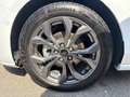 Ford Focus 1.0 Ecoboost MHEV ST-Line X 155 Aut. Blanco - thumbnail 11