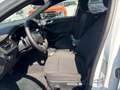 Ford Focus 1.0 Ecoboost MHEV ST-Line X 155 Aut. Blanco - thumbnail 8