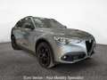 Alfa Romeo Stelvio 2.2 Turbodiesel 210 CV AT8 Q4 B-Tech Grigio - thumbnail 1