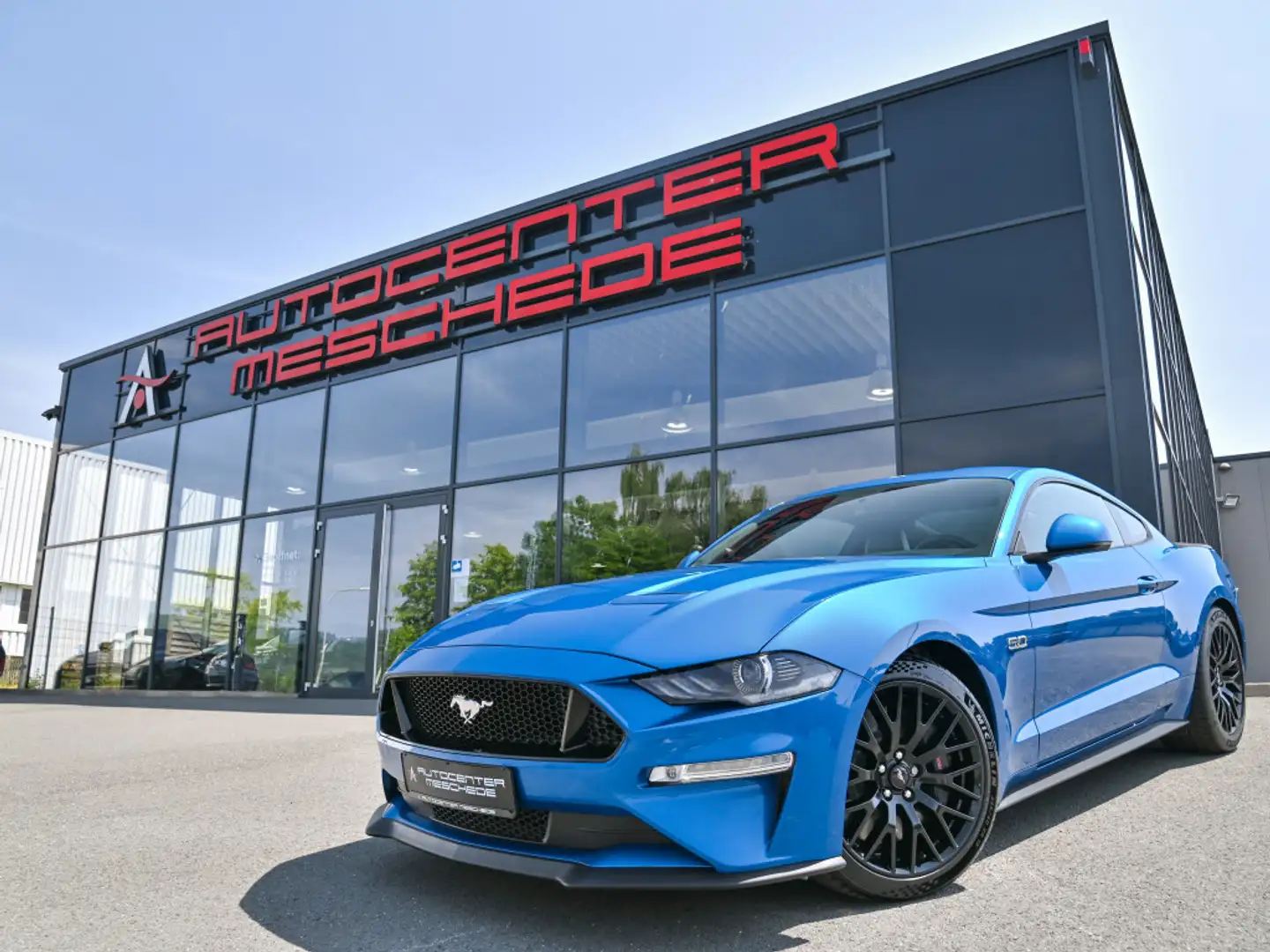 Ford Mustang 5.0 Ti-VCT V8 GT Aut. Navi* GRAIL XTREME Bleu - 1