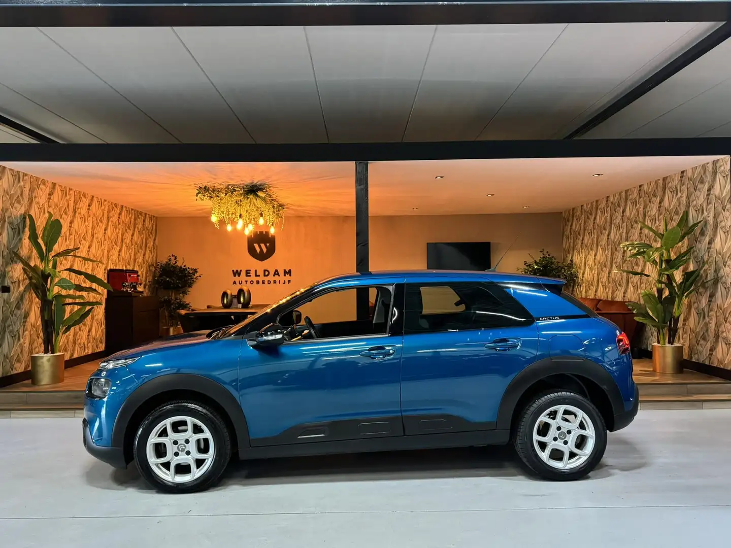 Citroen C4 Cactus 1.2 PureTech Feel Garantie Carplay Cruise Clima Na Bleu - 1