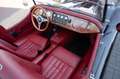 Morgan Plus 8 3.9 V8 Schwarz - thumbnail 34