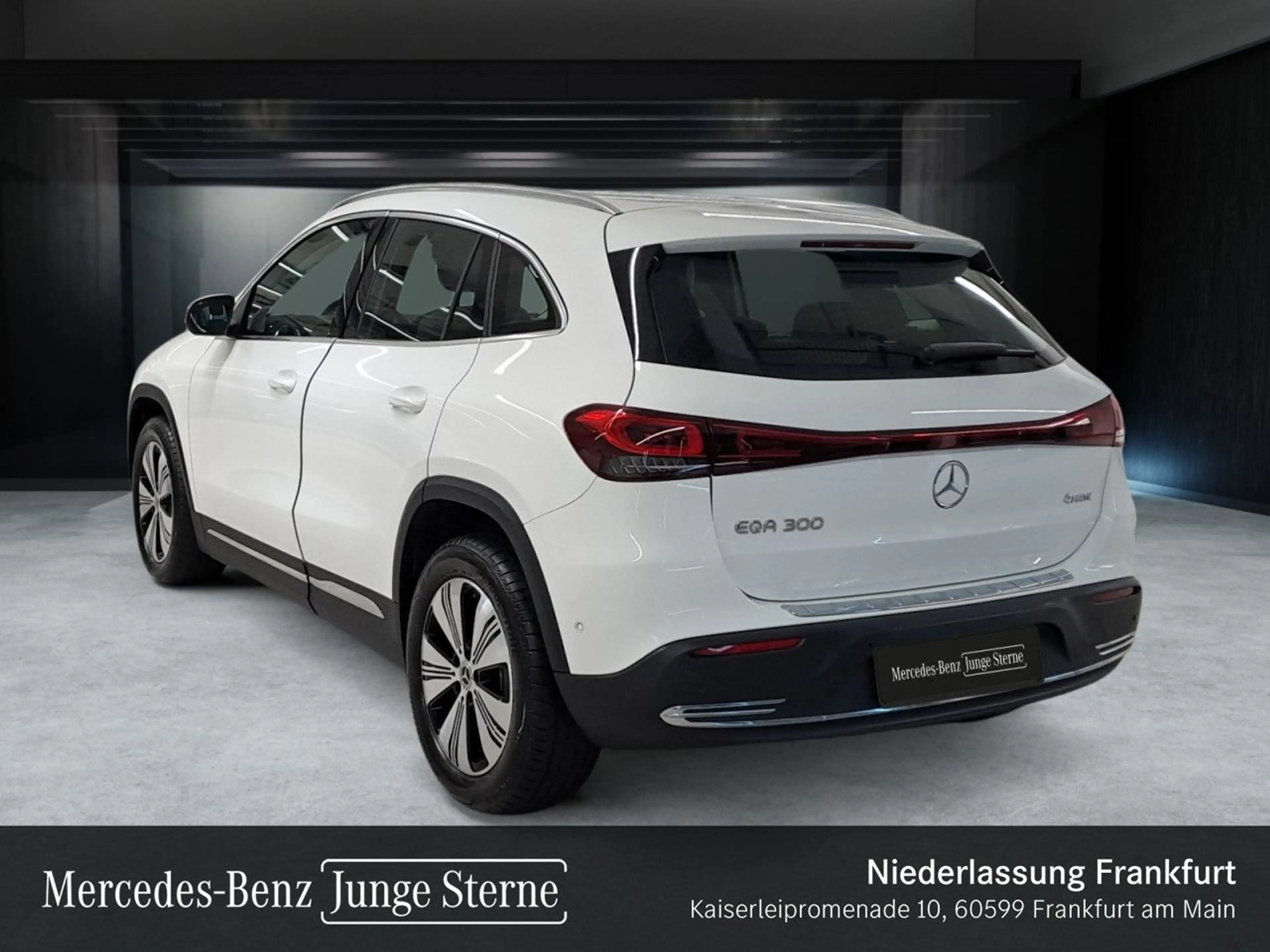 Mercedes-Benz EQA 300 4M PROG+ADVANCED+AHK+KAMERA+MEMORY+SPUR — photo 9