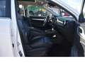 MG ZS Luxury/Leder/Navi/LED/TOP Zustand Weiß - thumbnail 6