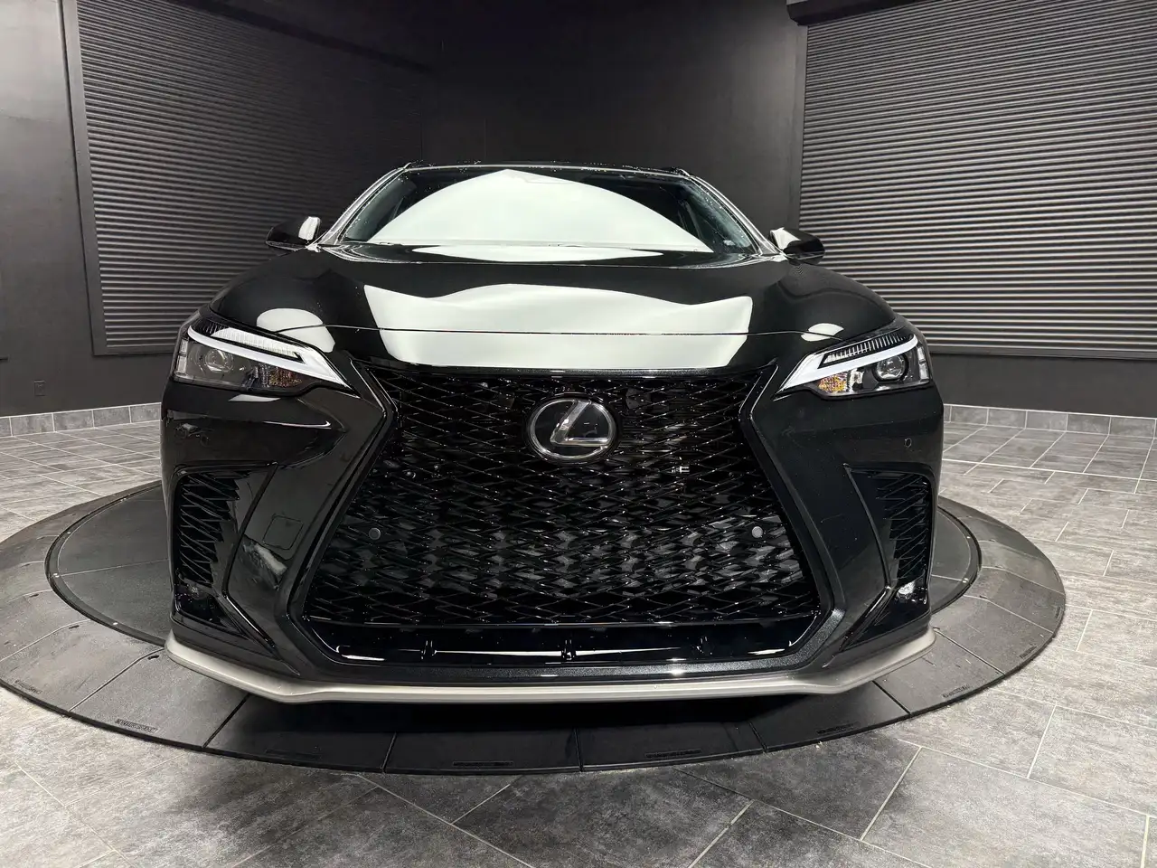 Lexus NX снимка Lexus NX