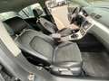 Volkswagen Passat Highline Grigio - thumbnail 11
