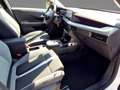 Opel Frontera GS 1.2 Hybrid KAMERA|NAVI|PDC|SHZ Weiß - thumbnail 12