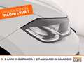 Volkswagen Polo 1.0 tsi life 95cv Bianco - thumbnail 14