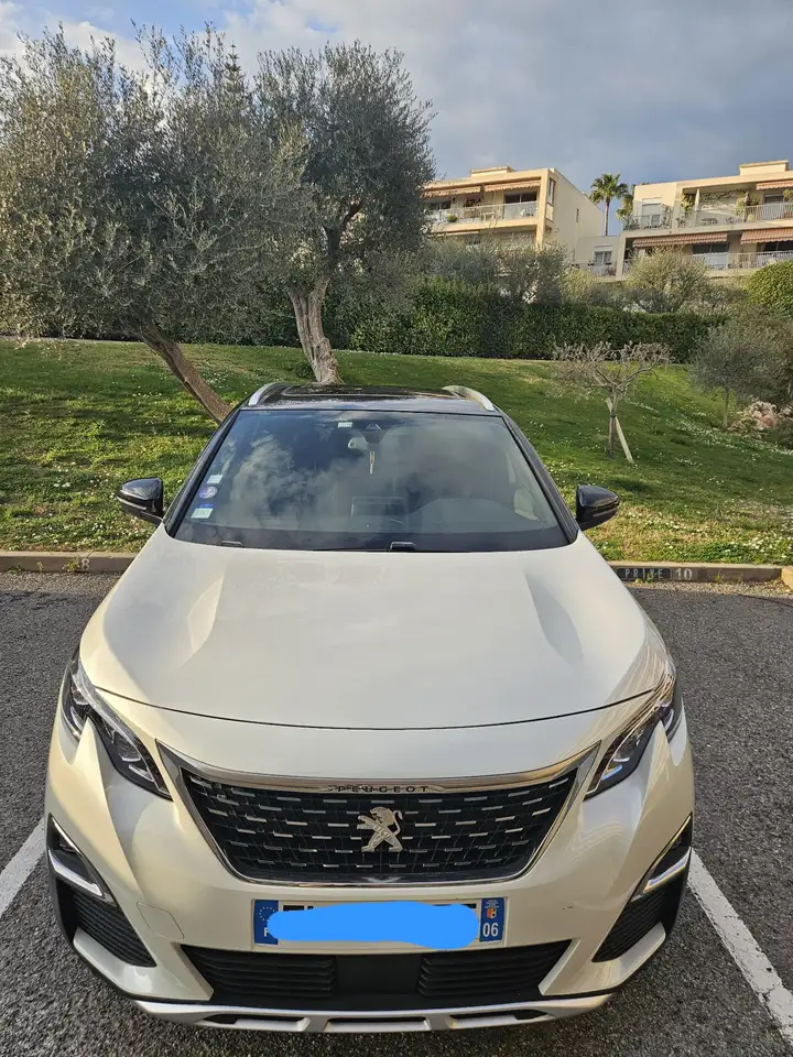 Peugeot 3008 3008 — photo 10